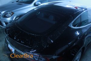 Model S Tesla Carrera S Clear Bra