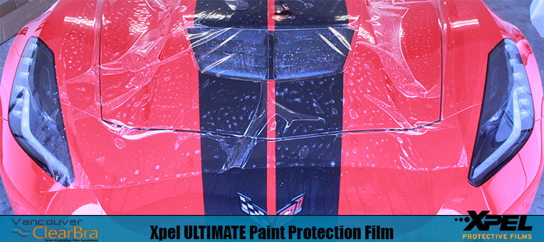 Paint Protection Film + Clear Bra