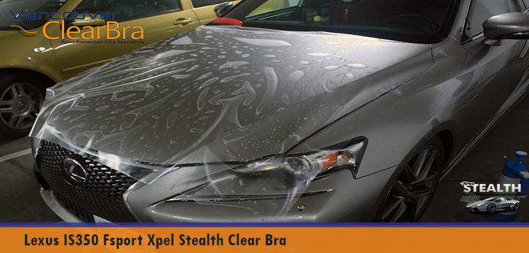 Lexus IS350 Fsport Xpel Stealth Matte Clear Bra - Vancouver ClearBra