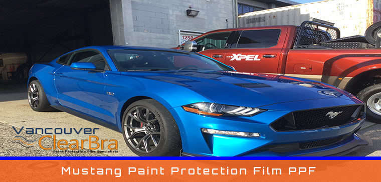 Mustang Paint Protection Film PPF