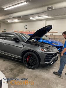 Lamborghini Urus Xpel STEALTH Satin Clear Bra