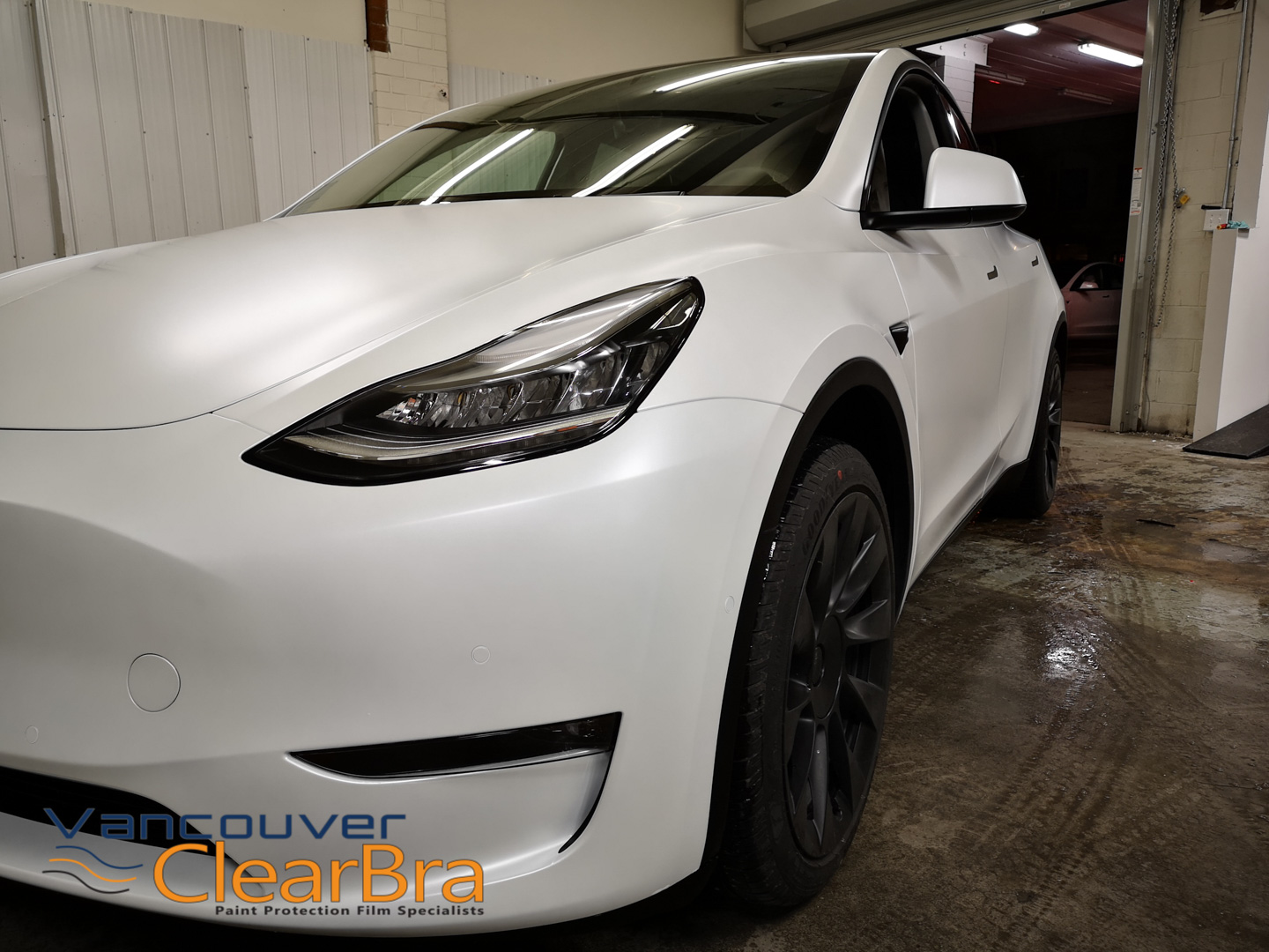 White Tesla Xpel Stealth - Vancouver ClearBra